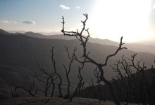 Zaca Fire Impacts Will Linger for Years
