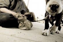 Helping Santa Barbara’s Homeless Youth