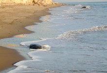 San Onofre Beach