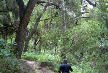 Jesusita Trail