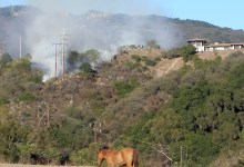 Edison Work Sparks Fire