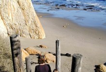 Shoreline Park Beach Walking