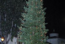 Yule Prevails
