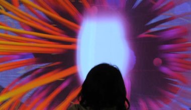 Enter the Allosphere