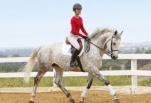 UCSB’s Equestrian Team