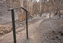 Several Jesusita Fire Trails to Re-Open