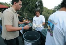 Santa Barbara Bowl Goes Green