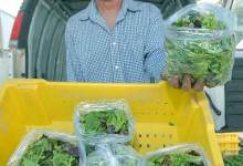 Farmer Tom Shepherd Stays Fresh