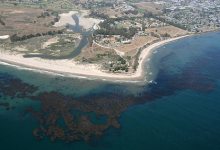 The Fight for the Bight