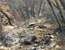 Pot Farmers Sparked Blaze