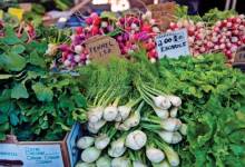Are You Epicurious?
