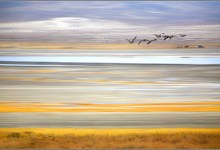 Shutter Speed