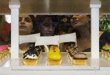 A Closer Look at Whodidily