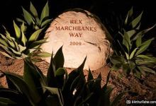 The Rex Marchbanks Way