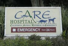 Closing CARE