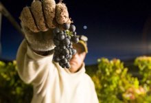 Grapes for Goodwill