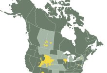 Protect California Deer from Chronic Wasting Disease