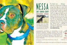 A Pooch with Your Pinot?