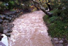 Safety and Preparation Advice for Flood Conditions