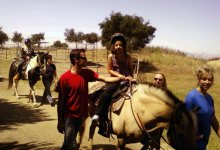 Blind Kids Saddle Up for Riding Lessons