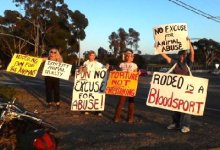 PETA Protests Animal Cruelty During Fiesta