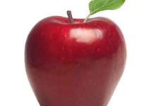 Apple Bird Feeders