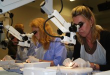 SEE International Trains Surgeons in Sight-Restoring Technique