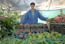 Farmer to Table