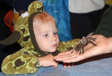 Boo at the Zoo