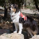 Kody: 1998 – 2012