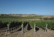 Santa Barbara Wine Country Ordinance Shot Down