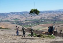 Illegal Marijuana Grow Discovered on Private Land