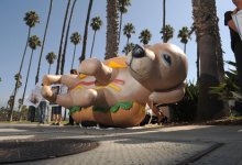 Mercy For Animals Stops in Santa Barbara
