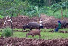 Poverty and Climate Change in the Philippines