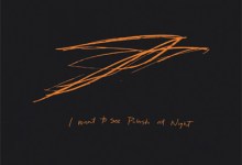 Andrew Bird