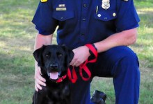 New Arson Dog Arrives