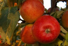 October: A Golden Month