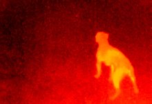 Heat Vision for Your Phone