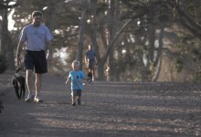 Vegetation Cleared from Douglas Preserve