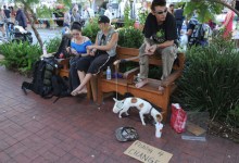 Council Cracks Down on Street People