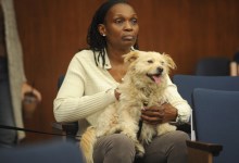 The ‘Dangerous’ Dog Dilemma