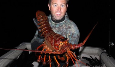 Big Ol’ Lobster Spared the Chopping Block