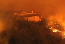 Learn to Coexist with Wildfire