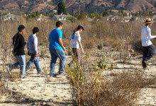 Riparian Restoration Ongoing