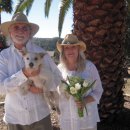 Tony Johansen: 1937 – 2015