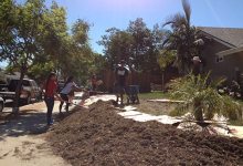 Water Saver: Youth Drought Project Lawn-Removal Rebates