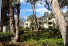 Make Myself at Home: A Compact Condo at The Grove