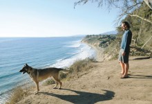 Tales of Redemption from S.B. Animal Shelters