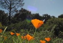 Gardening: The Gift That Keeps On Giving