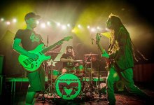 Cinco de Mayo Brings Free Shows, Tasting-Room Concerts